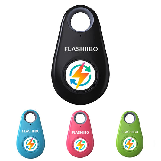 Flashiibo Key-Fob
